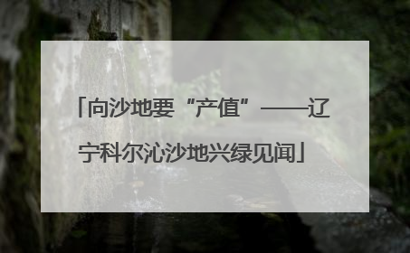 向沙地要“产值”——辽宁科尔沁沙地兴绿见闻